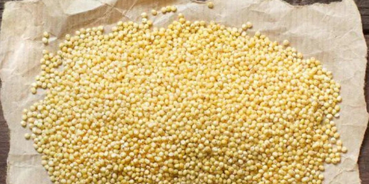 Millet Processing Plant setup Report 2024 | Industry Trends, Setup, Cost and Economics Details