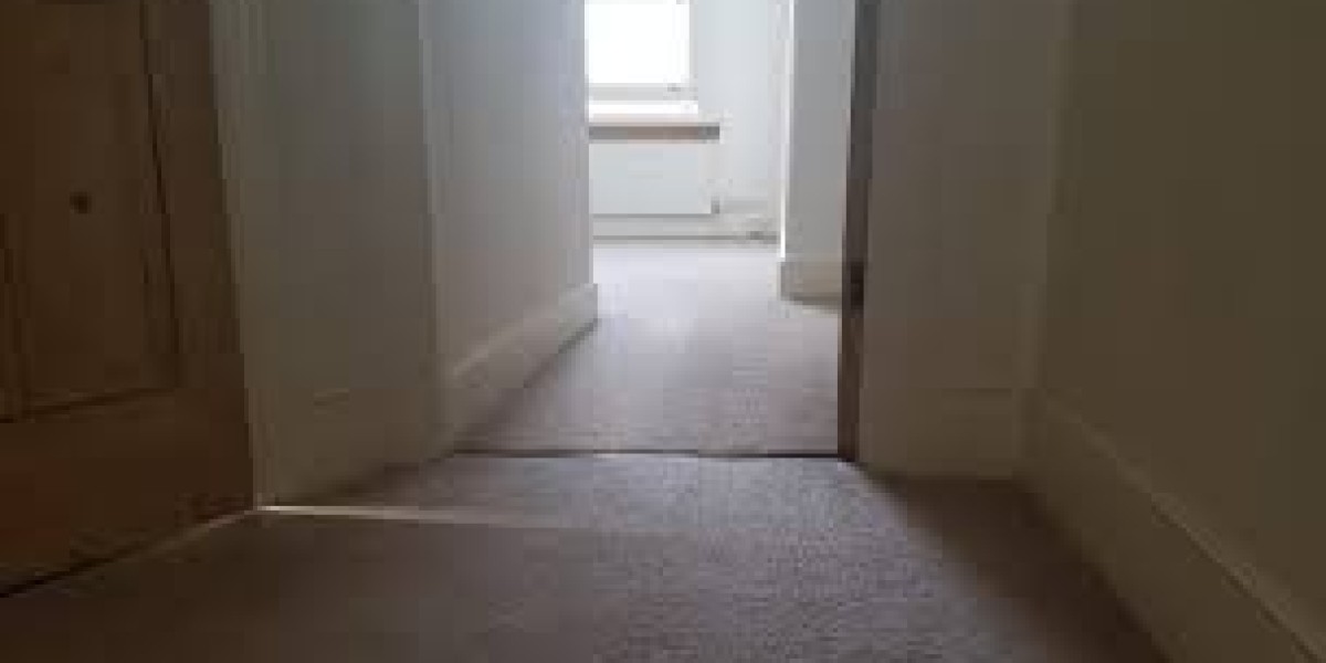 Uncover the Power of Professional Carpet Cleaning