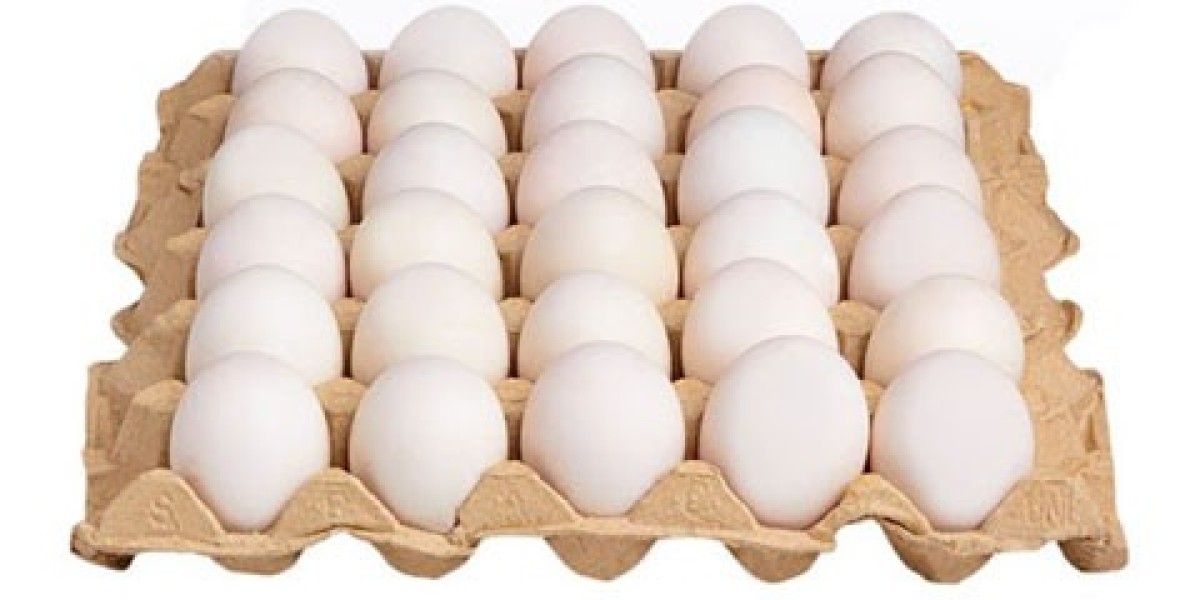 Comprehensive Approach to Setting Up a Egg Tray Manufacturing Plant | IMARC Group Report