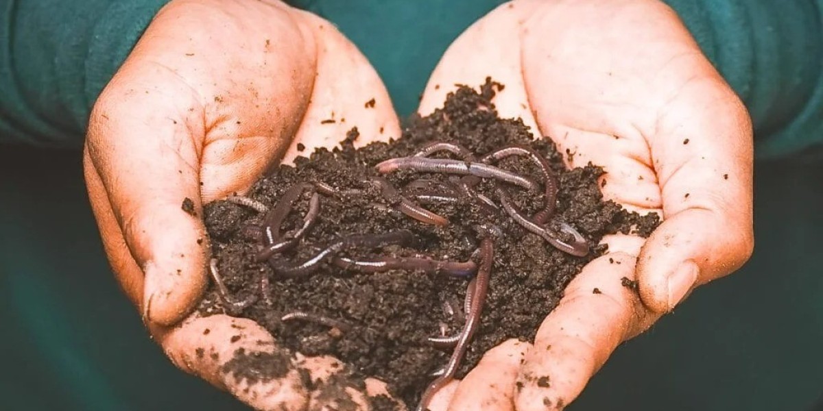 Raw Material Requirements for Setting Up a Vermicompost Manufacturing Plant