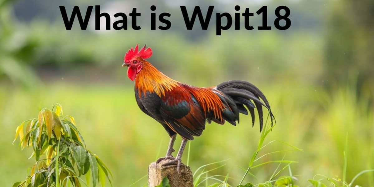 WPIT18 Login: A Comprehensive Guide to Accessing and Navigating the Dashboard