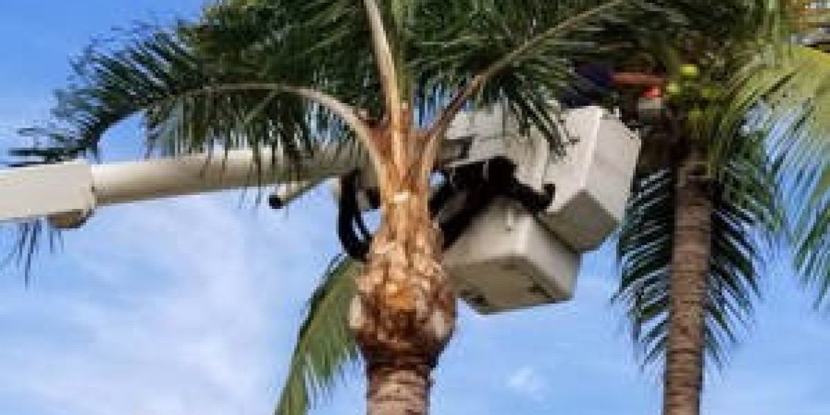 Removing Palm Tree Sydney: Cost-Effective Solutions for Your Property