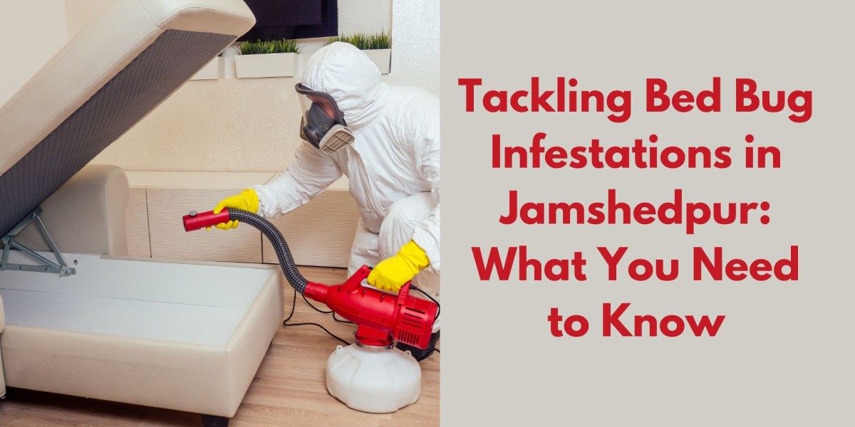 Tackling Bed Bug Infestations in Jamshedpur: What You Need to Know