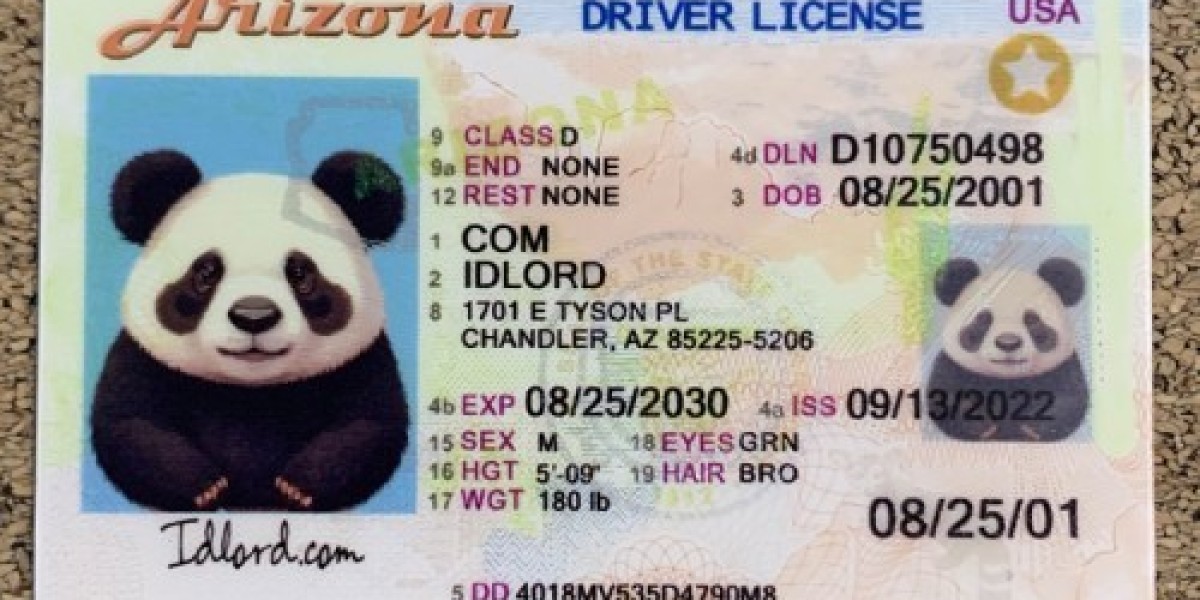 Discovering the Craft of Arizona Fake IDs A Comprehensive Guide