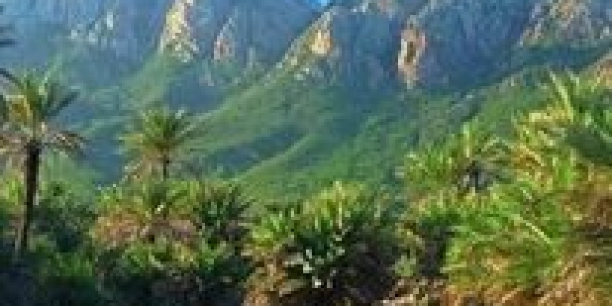 Benefits of Socotra Tour Packages