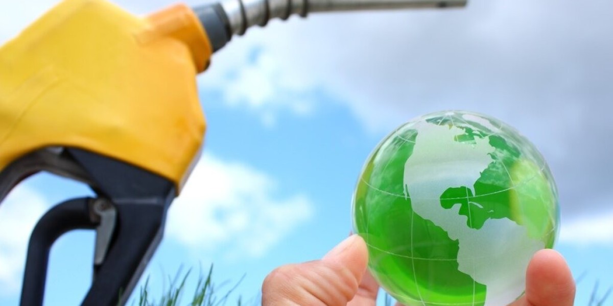 Key Aspects for Biodiesel Manufacturing Plant Setup Report