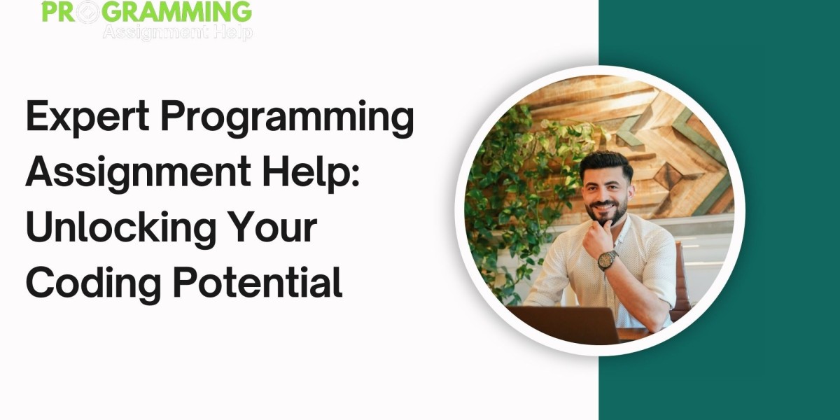 Expert Programming Assignment Help: Unlocking Your Coding Potential