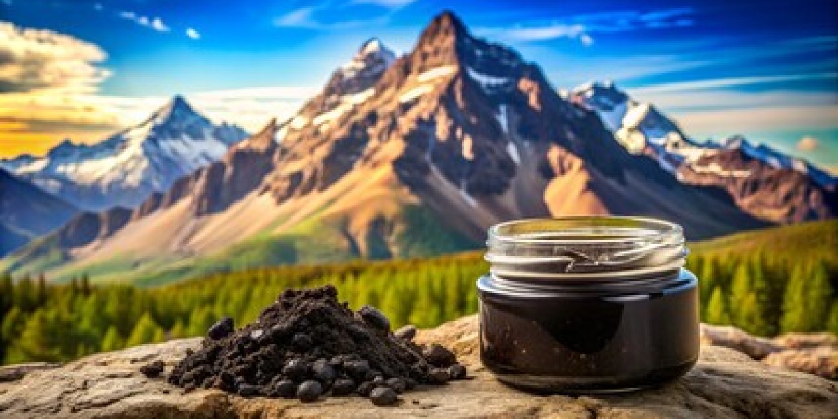 Himalayan Shilajit Your Path to Natural Wellness