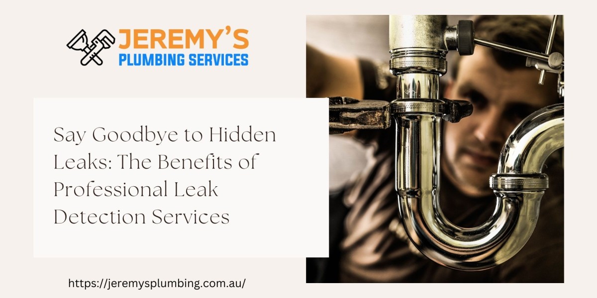 Say Goodbye to Hidden Leaks: The Benefits of Professional Leak Detection Services