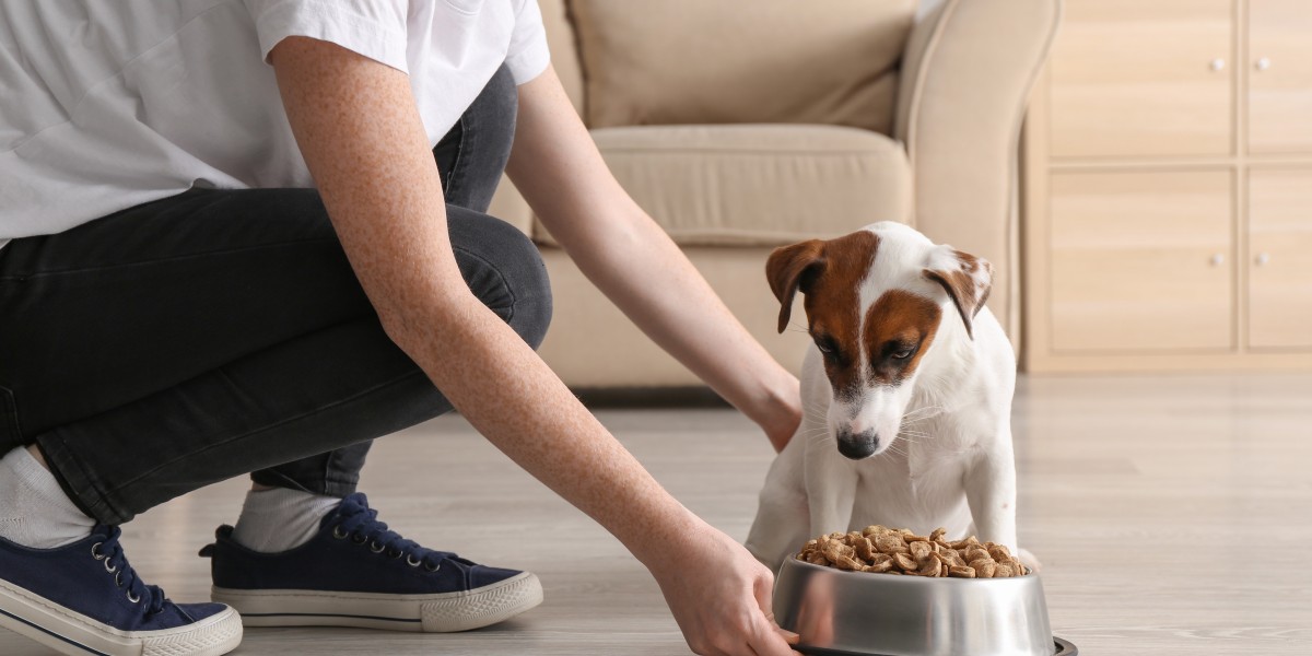 Top 5 Myths About Human-Grade Dog Food