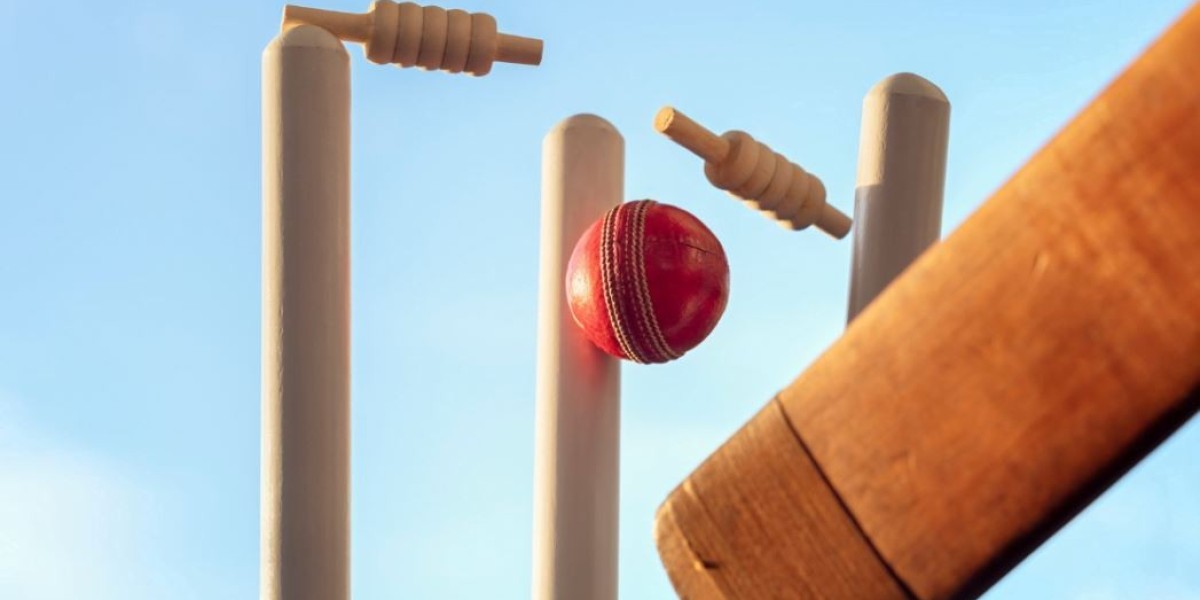 A Beginner's Guide to Cricket Betting IDs