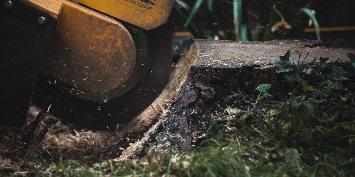 Guide to London Stump Grinding and Stump Removal in North London