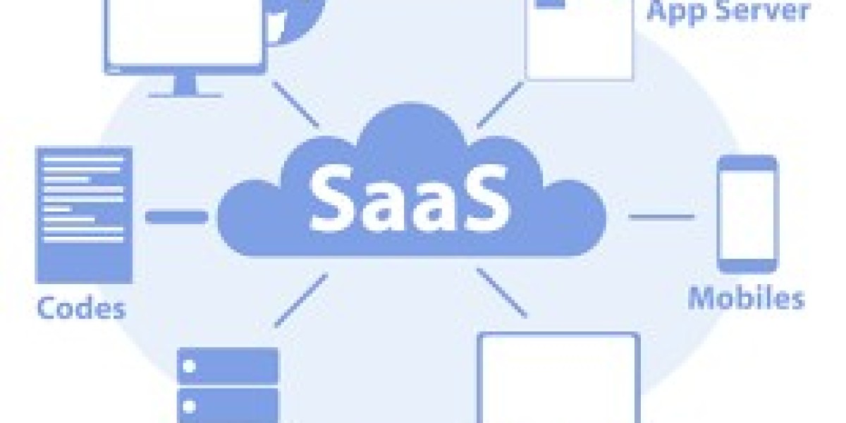 SaaS Development Services - Company Relevant Software