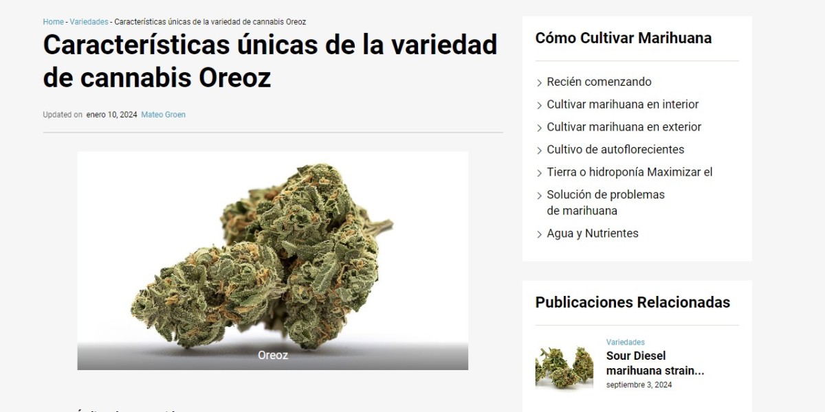 Características únicas de la variedad de cannabis Oreoz