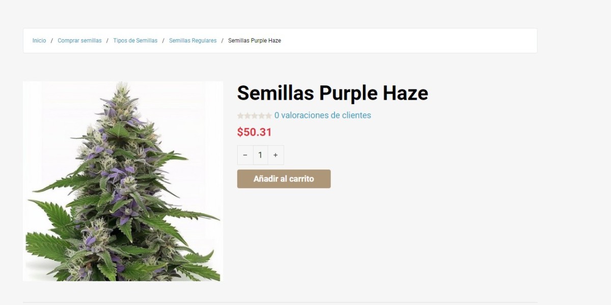 Semillas Purple Haze