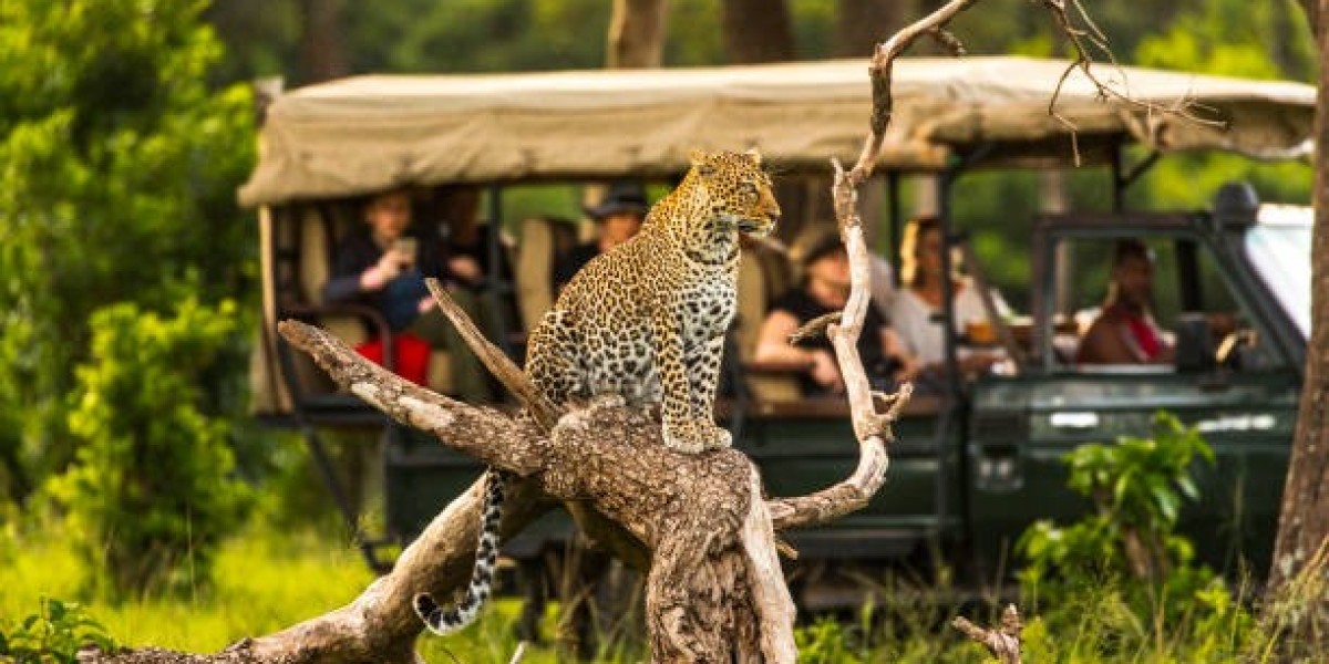 Read Top Tips for Budget-Friendly Kenya Safari!