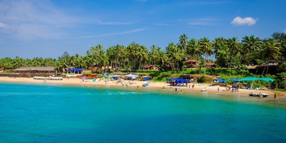 The Ultimate Guide to the Best Beaches in Goa: 2024 Travel Tips