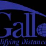 Gallopshipping llc