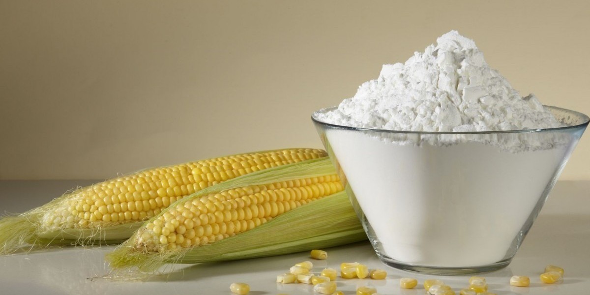 Maize Starch Manufacturing Plant Setup Report 2024: Cost and Raw Material Requirements