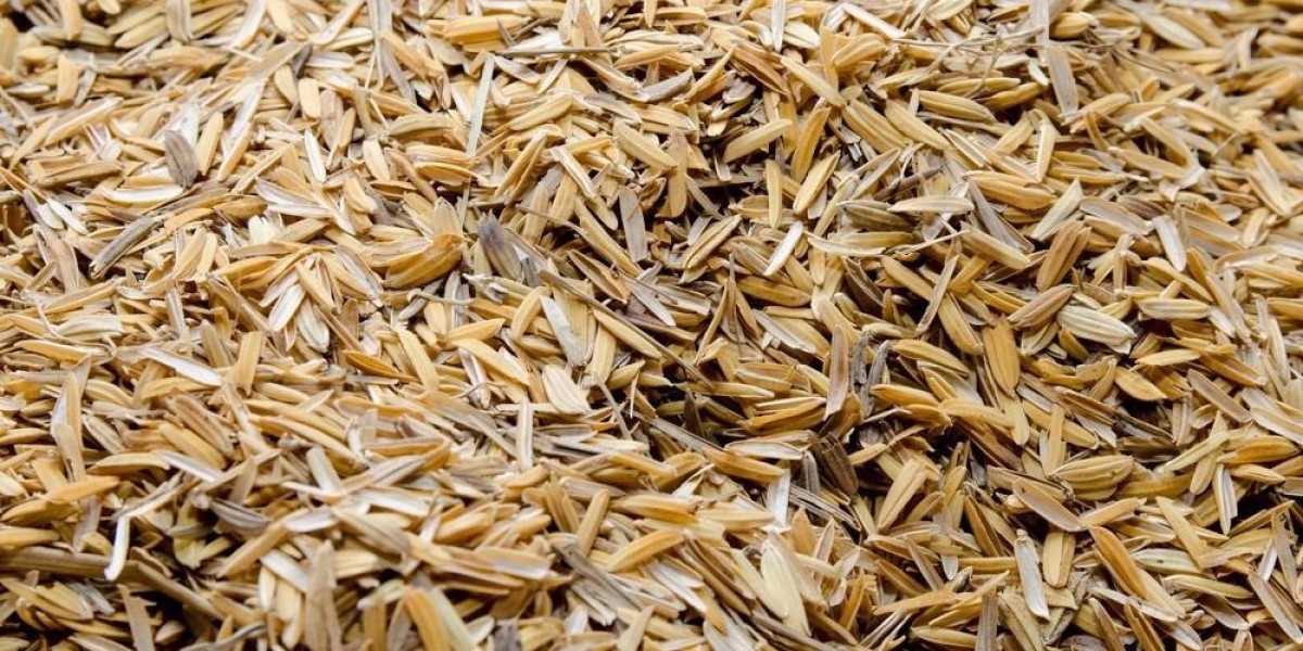 Setting up a Rice Husk Ash Manufacturing Plant Project Report | Industry Trends and Raw Materials