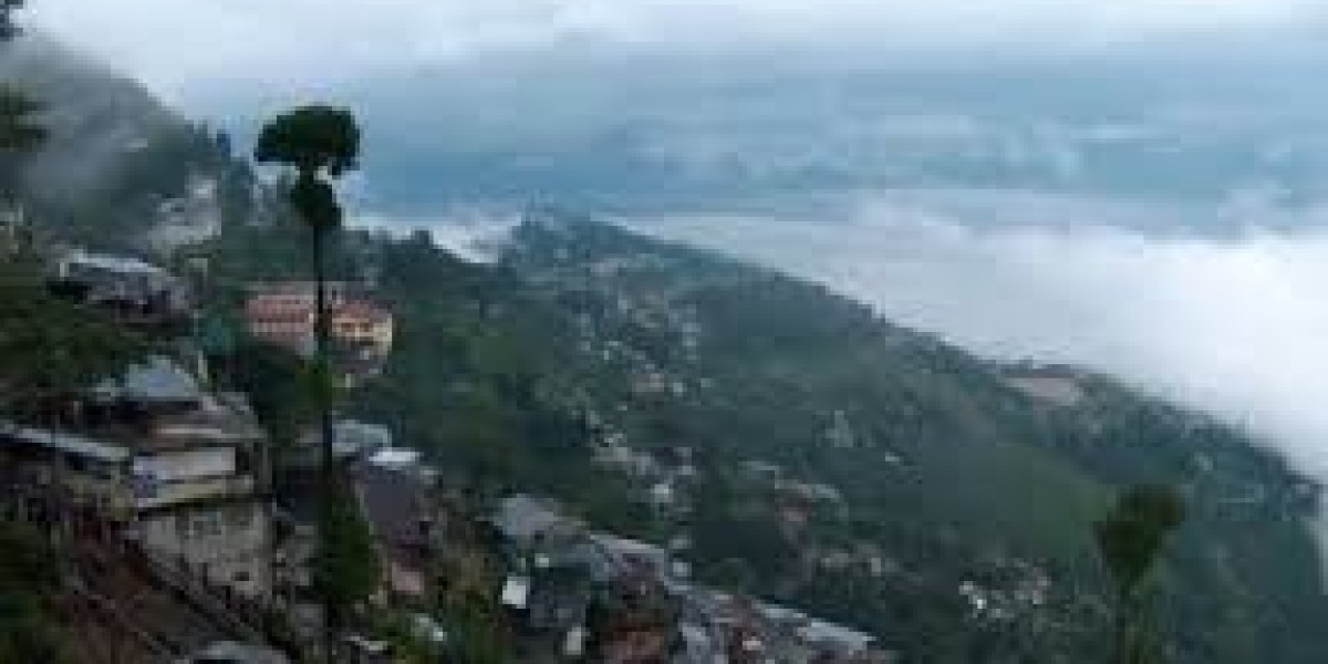 Darjeeling Family Tour