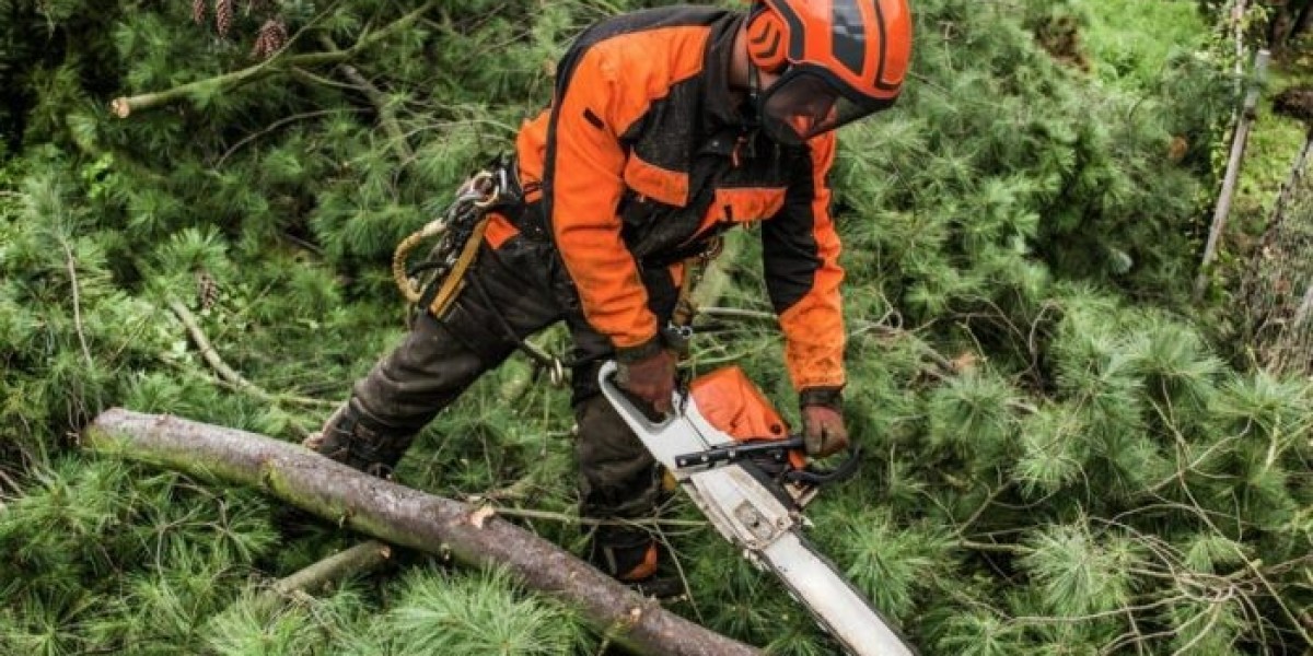 The Importance of Tree Surveys in North London