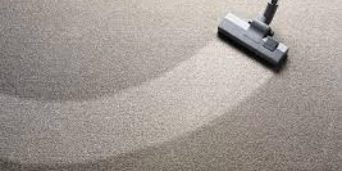 Why Professional Carpet Cleaning Is Important for Rental Properties