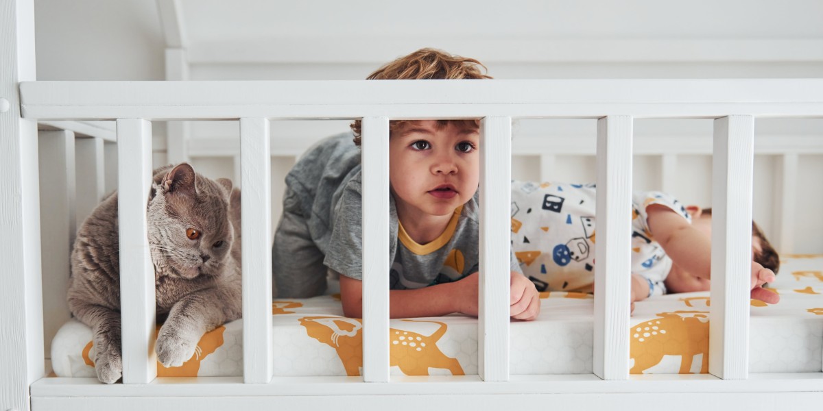 The 10 Most Scariest Things About Best Infant Cribs