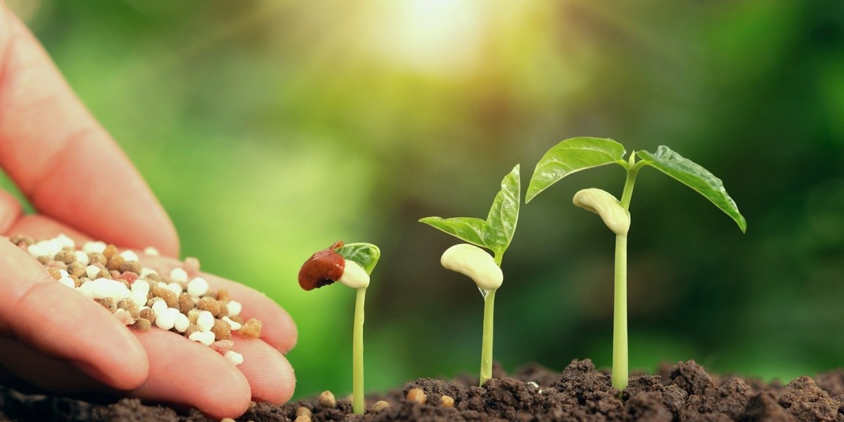 Organic Fertilizer Manufacturing Plant Setup Report 2024 | Industry Trends, Cost and Economics Details