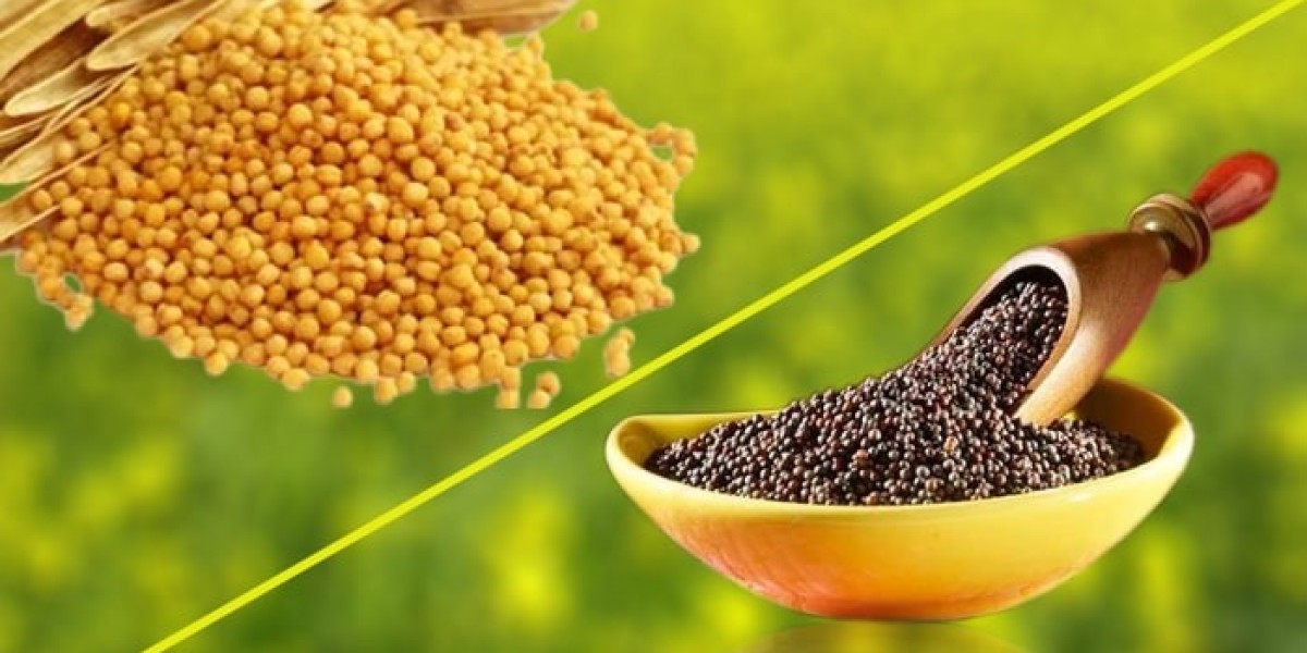 Comprehensive Approach to Setting Up a Mustard Seed Processing Plant | IMARC Group Report