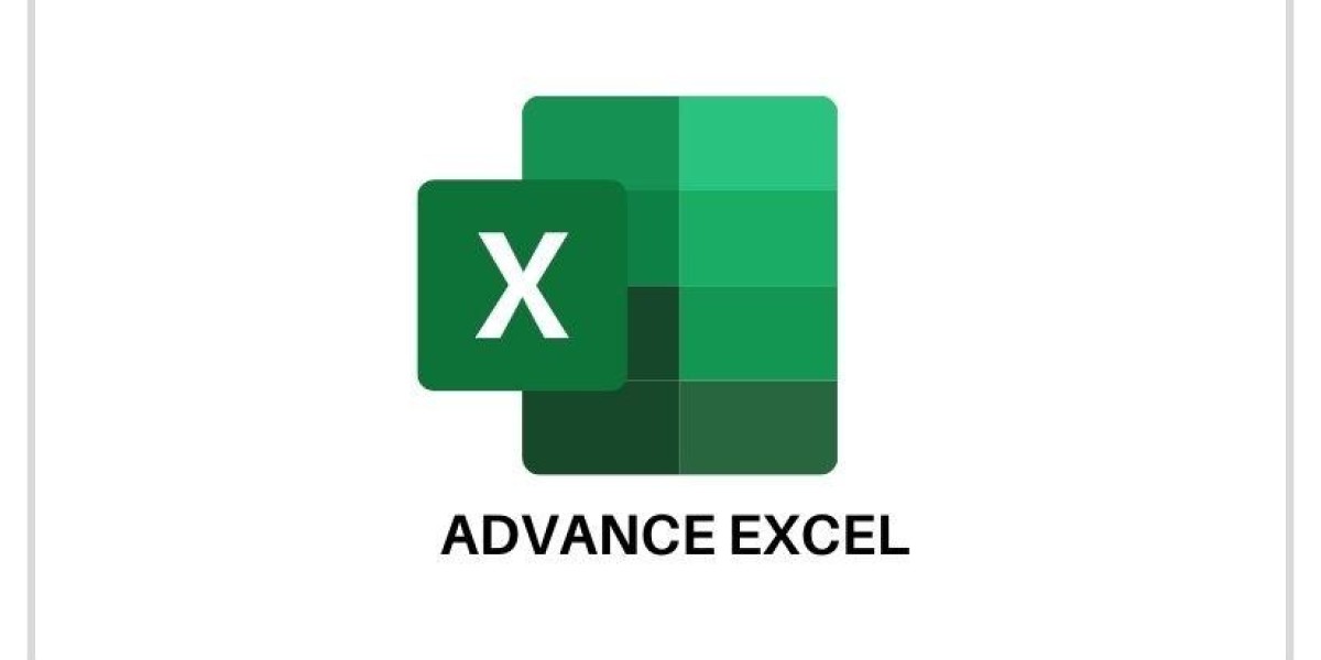 Master Your Skills with Our Advanced Excel Course in Delhi