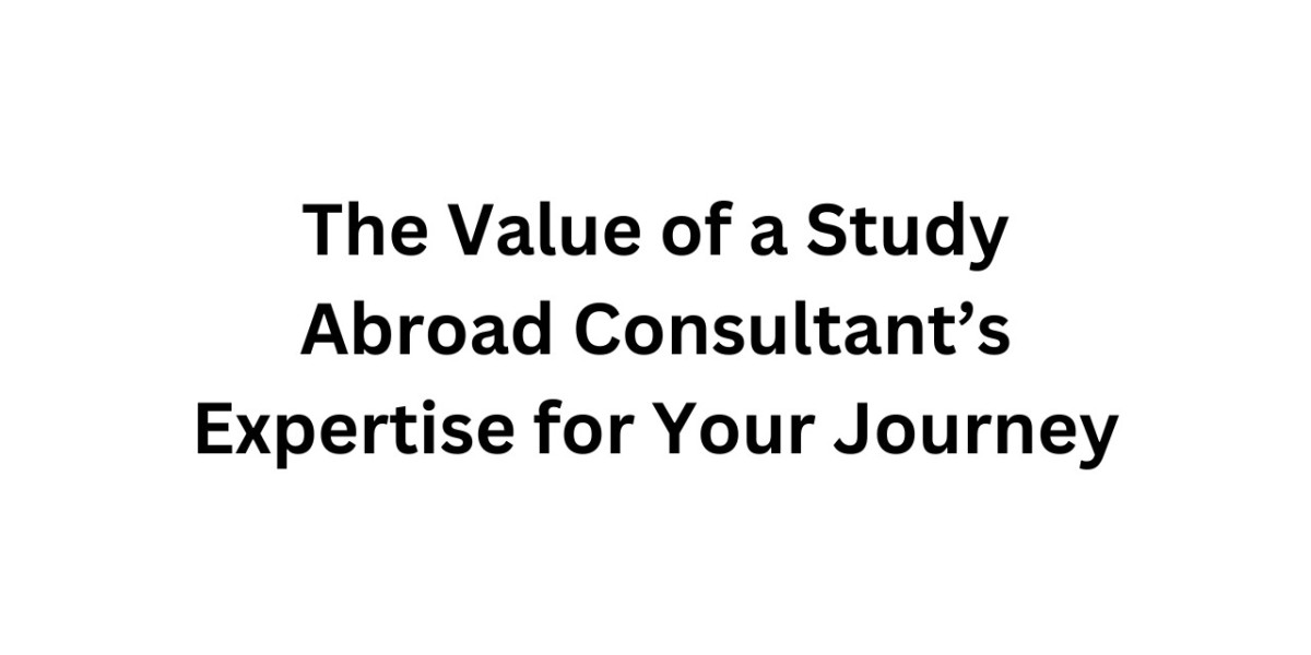 The Value of a Study Abroad Consultant’s Expertise for Your Journey