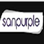 Best Web Development Company In Pune by Sanpurple